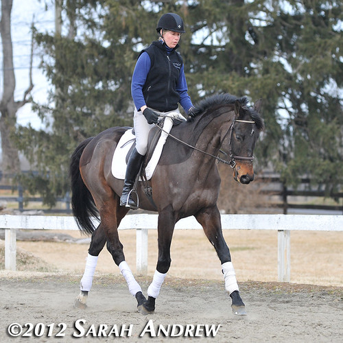 Tiffany Catledge and Solidify: Retired Racehorse Training Project's Trainer Challenge