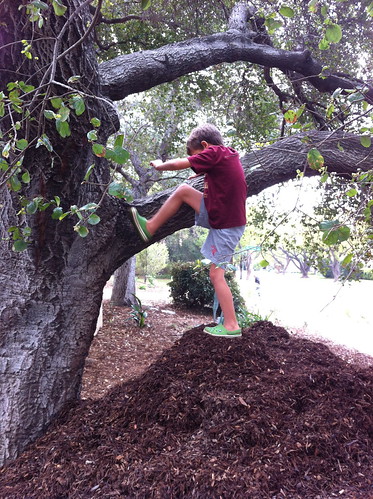 Ezra climbs