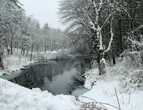 IMG_4435    Winter's Beauty   Lunenburg,MA by Joyce Prescott