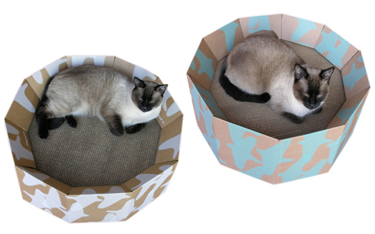 Картон и кошки cats&cardboard_012