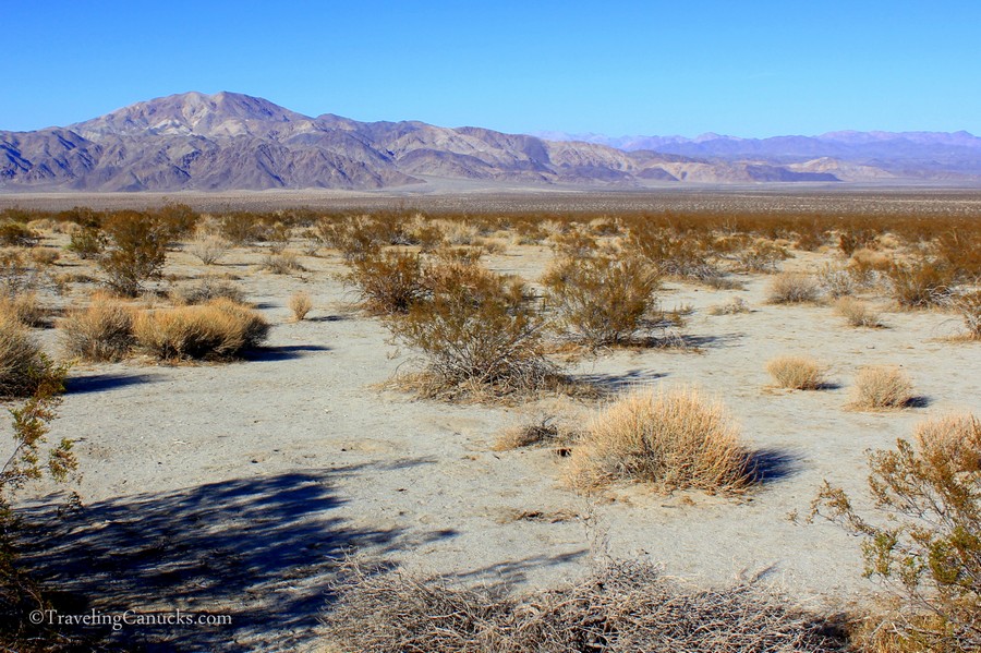 Desert Landscapes, Joshua Tree NP