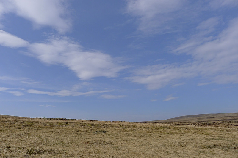 Blue skies over the Great Moss