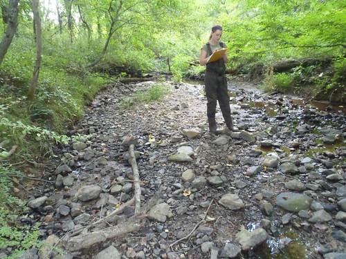 Image of DEP staff taking a pebble count of a stream. 