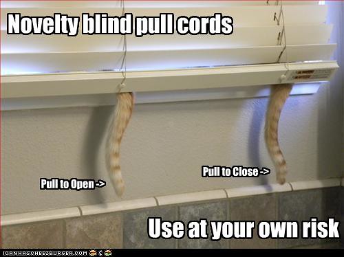 cats-are-pull-cords