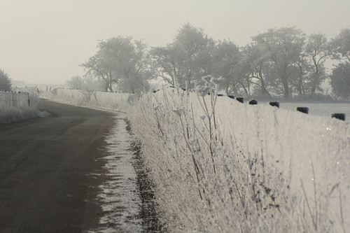 hoar-frost-approach-road-11