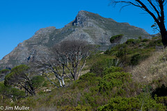 South African Landscapes