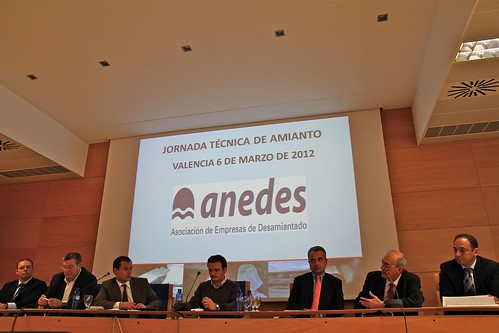Jornada sobre el amianto organizada por MAGMA, IGNEA y ANEDES