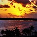 Bahama Sky and Selects- Nassau (13)