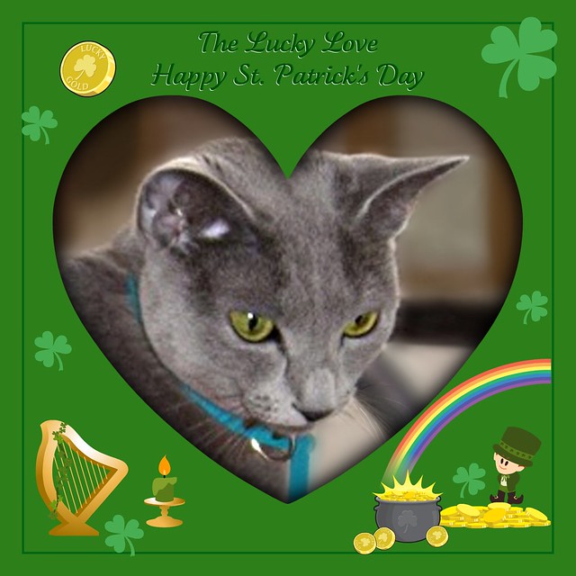 The Lucky Love ~ Happy St. Patrick's Day