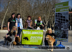 Campaña de PACMA a favor de las adopciones de los animales.