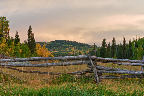 Another cloudy view of fall scenery in Colorado...