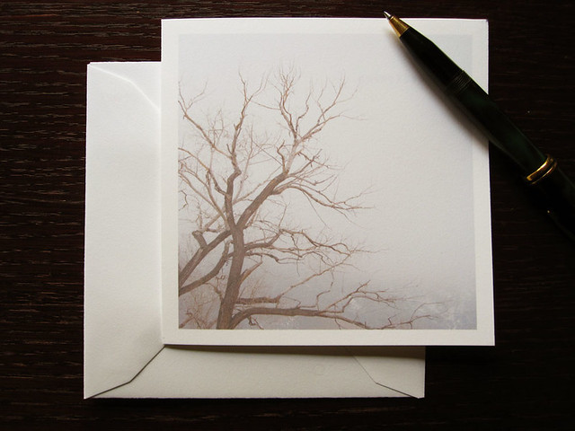 Nature tree card, a foggy tree minimalist blank card, of a cottonwood tree's bare branches twisting in a foggy landscape.