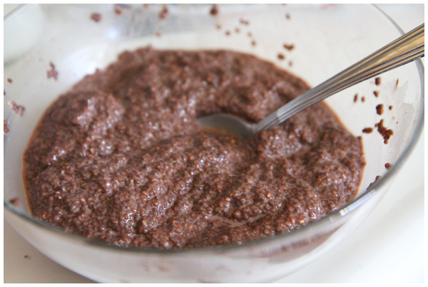 Delicious Chia Seed Chocolate Pudding