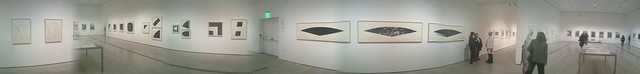 Ellsworth Kelly Monochrome Flower Panorama In Black And White