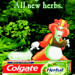 Buy Colgate Herbal Online at Mygrahak.com