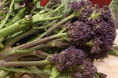Recipe: Purple sprouting broccoli with sesame and honey
