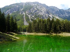 Grüner See 2016 / Green Lake 2016