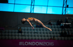 London 2016, Masters European Diving Championships