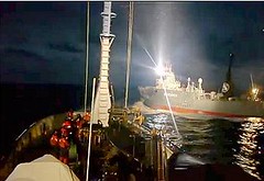 2012年3月5日出現在美國護鯨船(Bob Barker)面前的日本捕鯨船，拖曳著一條纜線並對護鯨船打燈，以示反抗。(Sea Shepherd提供)
