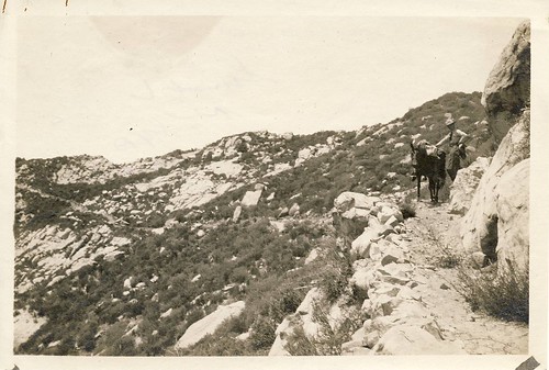 Ocean View Trail, 1923 (Westward)
