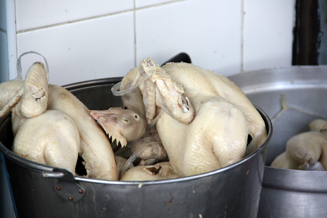 Boiled chickens waiting to be chopped