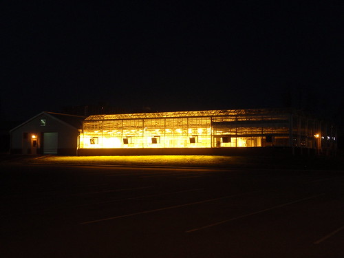 lighted greenhouse