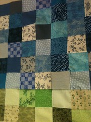 Project QUILTING Entry from Pat Lester