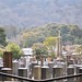 Arashiyama 嵐山 - 06