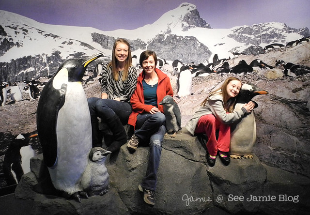 Penguin Girls