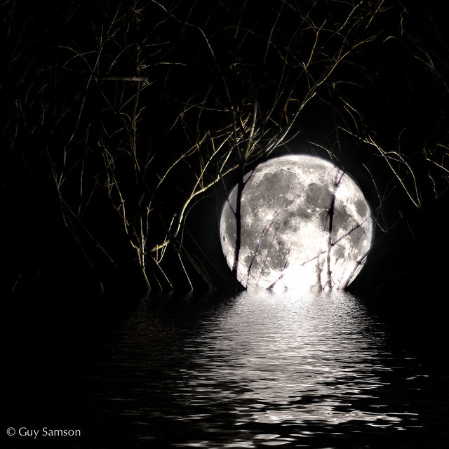 Bad Moon On The Water / Une lumière sur l'eau