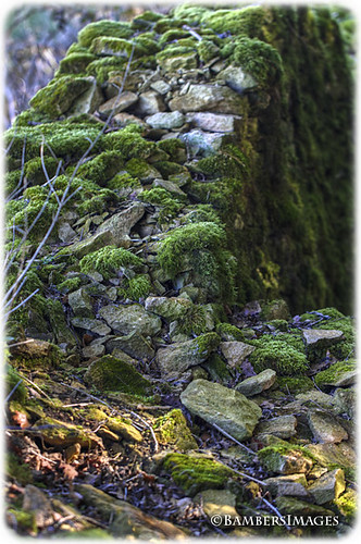 Mossy wall 1. by BambersImages