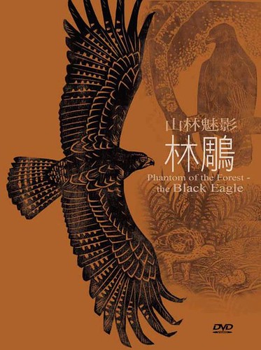 由林試所以及台灣猛禽研究會合作的林鵰生態紀錄片，6日首映。