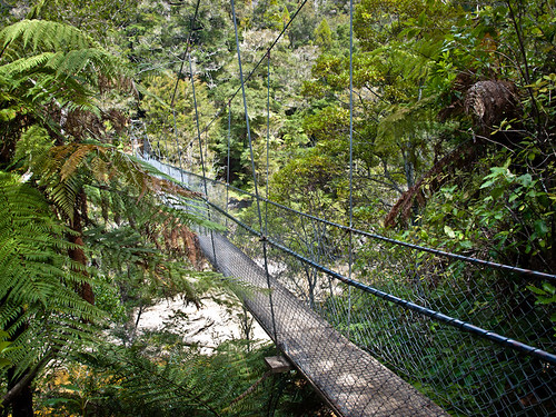 Parque Nacional de Abel Tasman 19