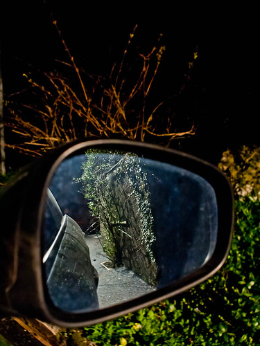 1000/761: 21 March 2012: Wing mirror reflections by nmonckton