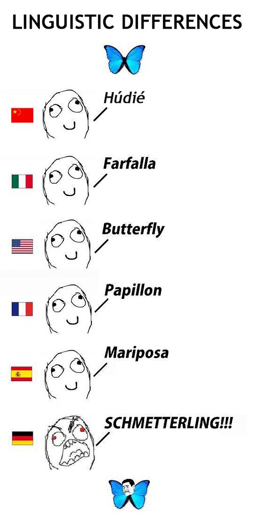 Linguistic Differences (butterfly)