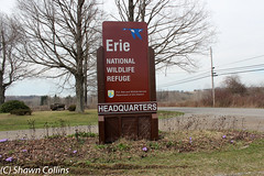 Erie National Wildlife Refuge, Crawford County PA