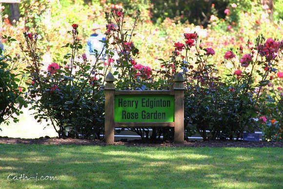 Rose Garden Invercargill Nzealand_5