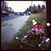 Flowers by the crash site (Kate Ryan/WTOP)