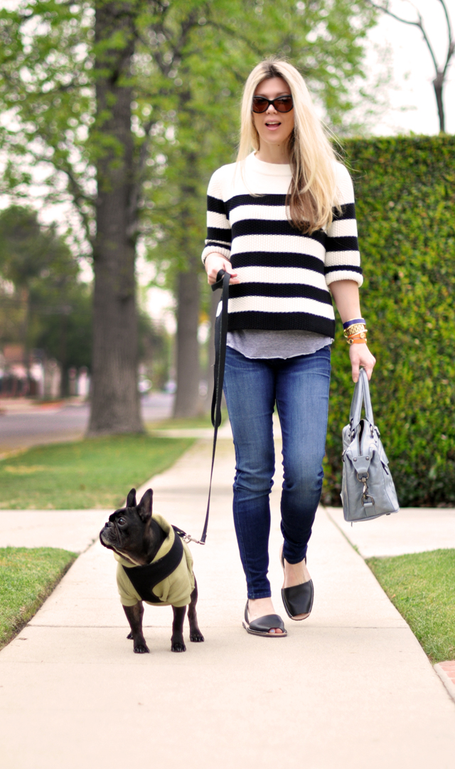 easy outfit - jeans-avarcas-striped sweater-french bulldog