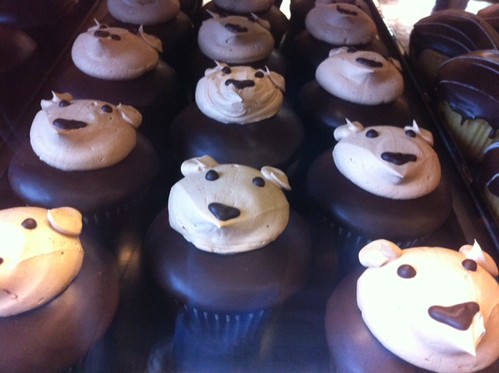 Army of Bear Cupcakes!