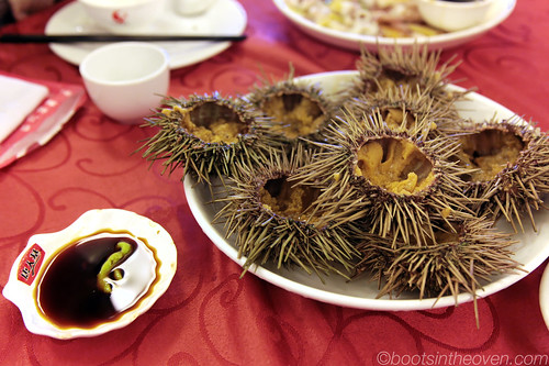Beautiful (and RICH) sea urchin
