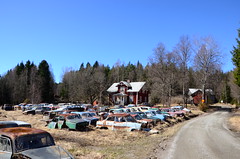The old car graveyard 2013