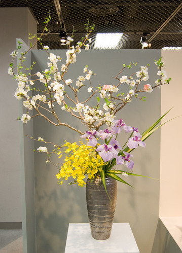 Shoka Ikenobo arrangement with different orchids and blossom branches