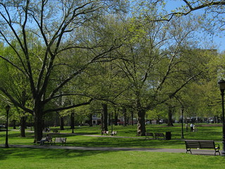 New Haven (CT) green (by: GK tramrunner229, creative commons)