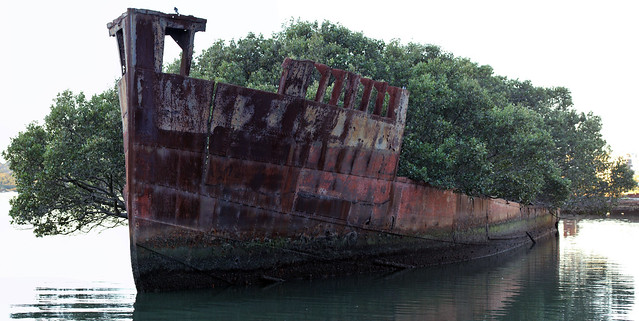 SS Ayrfield shipwreck site - Homebush Bay, Sydney