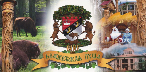 Belovezhskaya Pushcha / Białowieża Forest