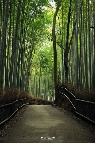 Arashiyama 嵐山 - 01