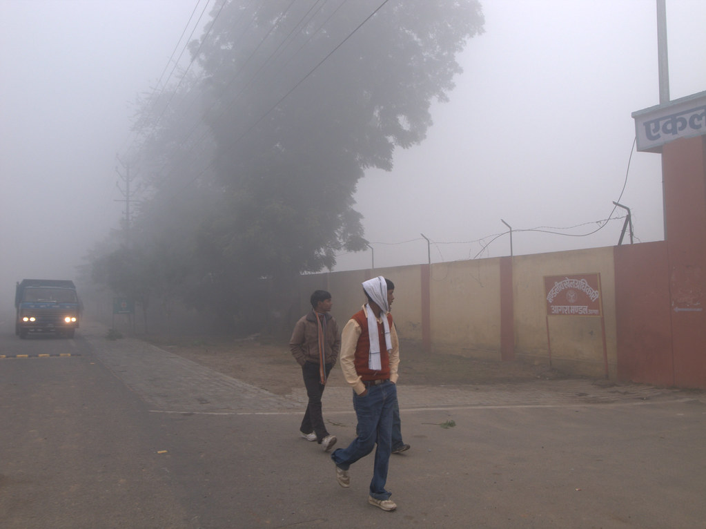 Agra Fog