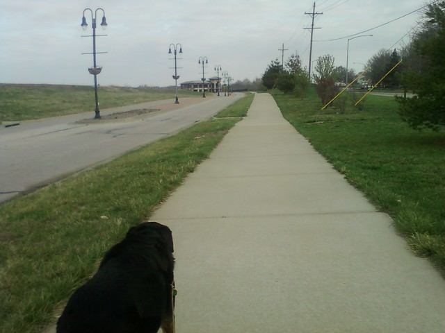 Sunday morning walk with Apollo