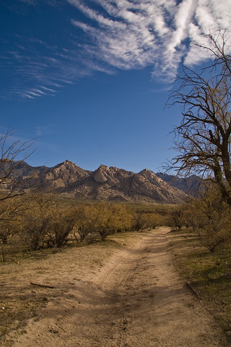 trail link and catalinas